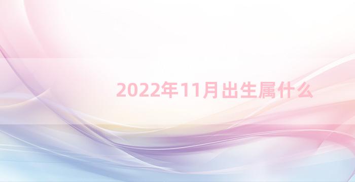 2022年11月出生属什么
