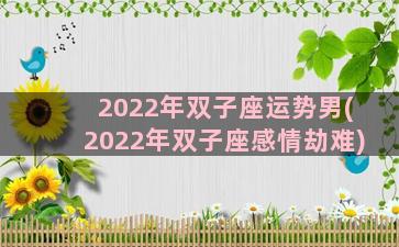 2022年双子座运势男(2022年双子座感情劫难)