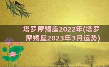 塔罗摩羯座2022年(塔罗摩羯座2023年3月运势)