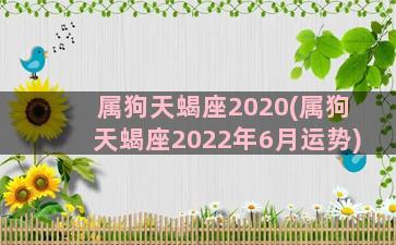 属狗天蝎座2020(属狗天蝎座2022年6月运势)