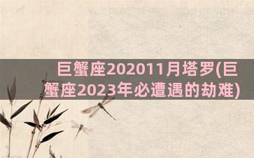 巨蟹座202011月塔罗(巨蟹座2023年必遭遇的劫难)