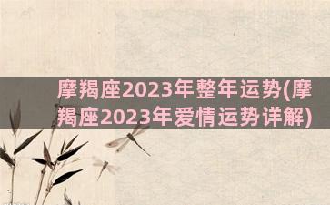 摩羯座2023年整年运势(摩羯座2023年爱情运势详解)