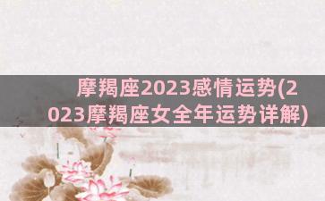 摩羯座2023感情运势(2023摩羯座女全年运势详解)