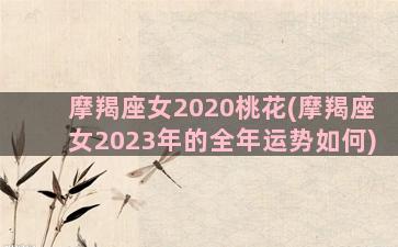 摩羯座女2020桃花(摩羯座女2023年的全年运势如何)
