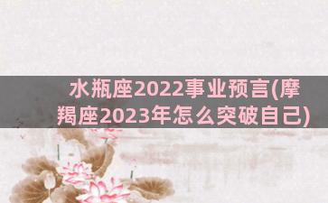 水瓶座2022事业预言(摩羯座2023年怎么突破自己)