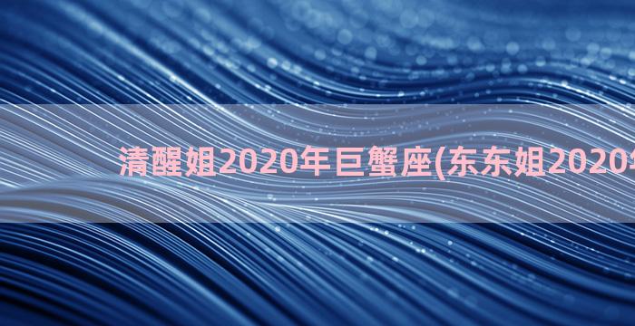 清醒姐2020年巨蟹座(东东姐2020年视频)