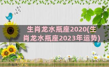 生肖龙水瓶座2020(生肖龙水瓶座2023年运势)